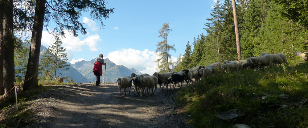 Geierwally Rundweg