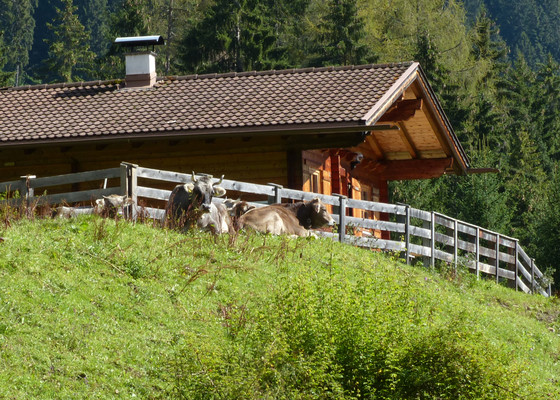 Geierwally Rundweg