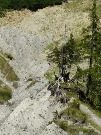 Geierwally Rundweg