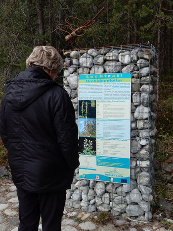 Haengbruecke bei Forchach