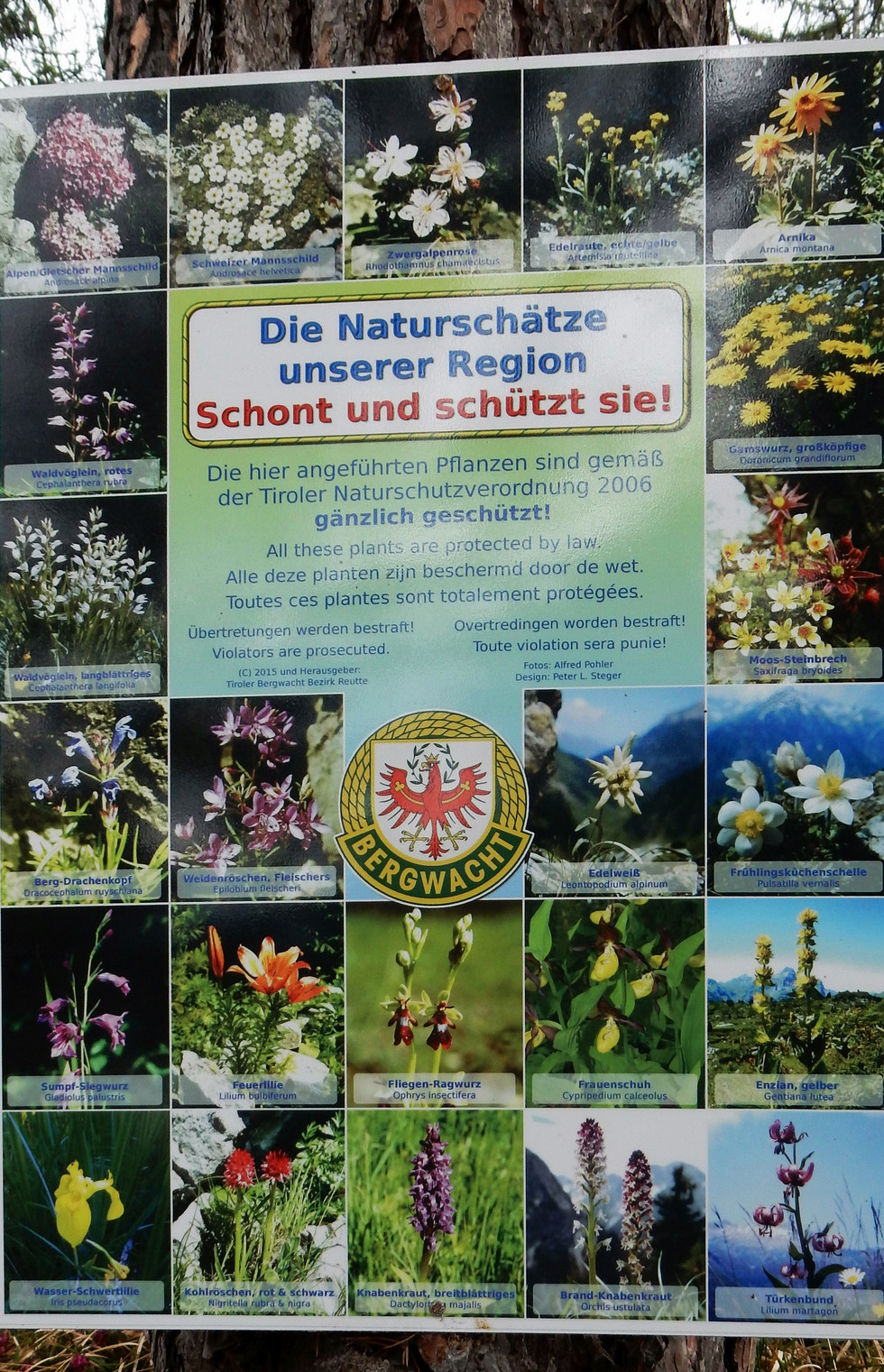 geschuetzte Blumen