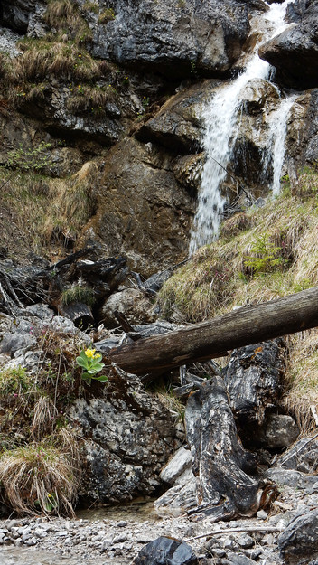 Haengbruecke bei Forchach