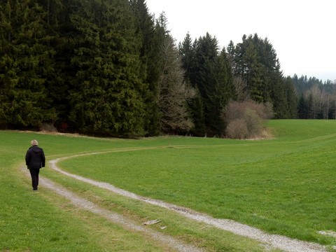 Haengesteg der Wertach