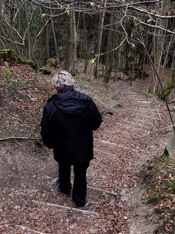 Haengesteg der Wertach