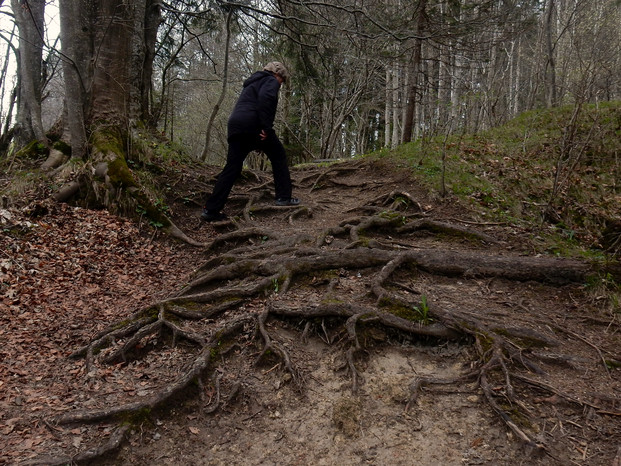 Haengesteg der Wertach