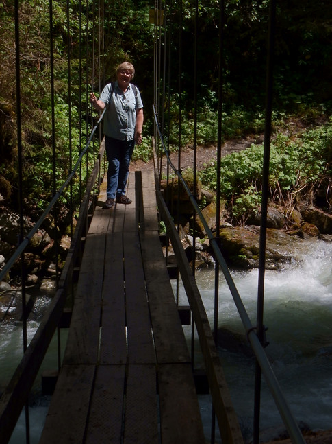 Hängebrücke - gehängte Brücke