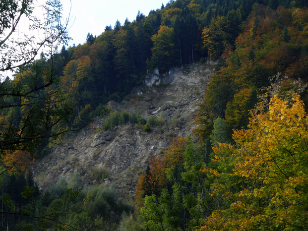 Steigbachtobel Immenstadt 