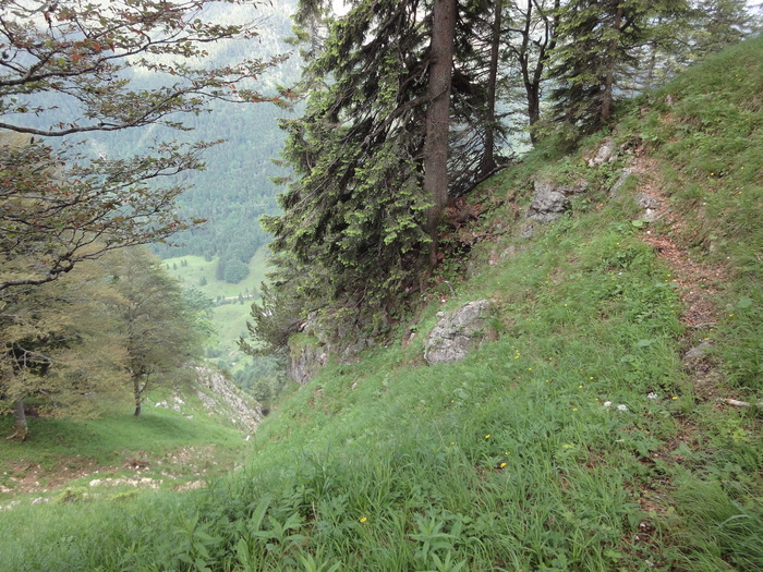 Brecherspitz 07771.JPG