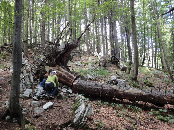 Cache  unten