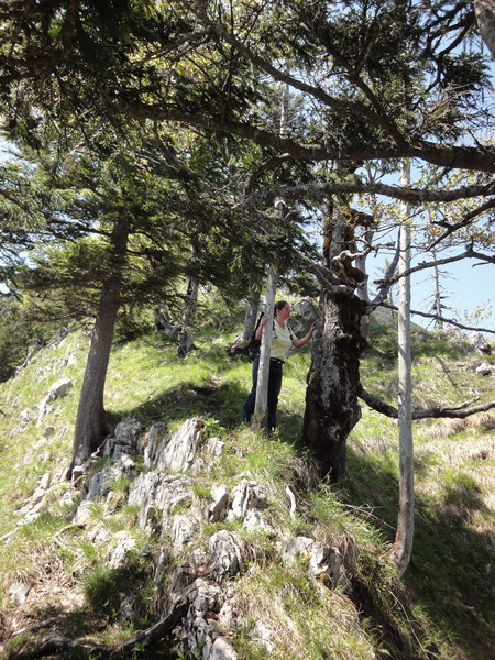 Cache unten