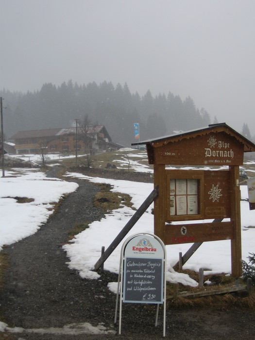 IMG_9030.JPG