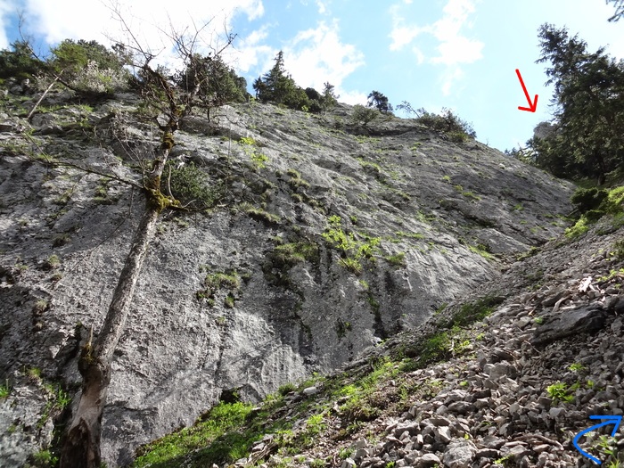 Brunnbergkamm 01777.JPG