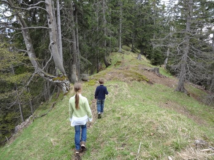 Brunnbergkamm 02107.JPG