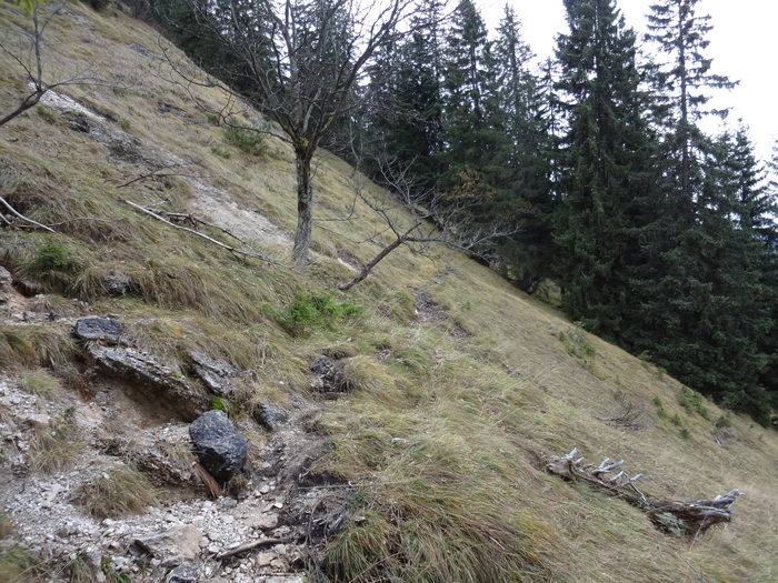 Brunnbergkamm 03425.JPG