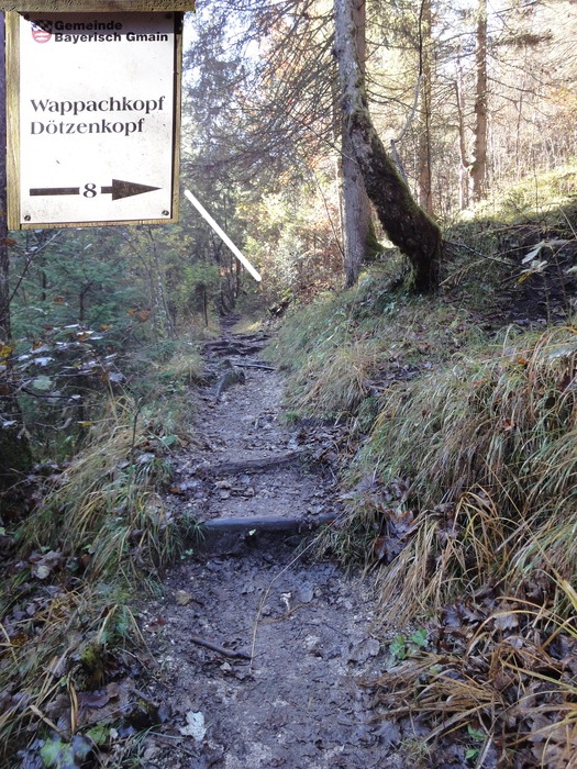 Dötzenkopf 08278.JPG