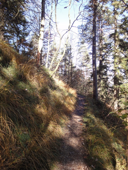 Dötzenkopf 08291.JPG