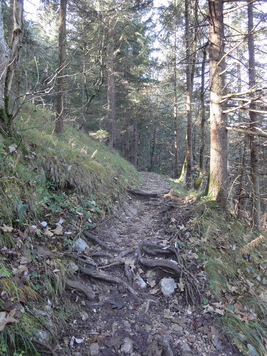 Dötzenkopf 08293.JPG