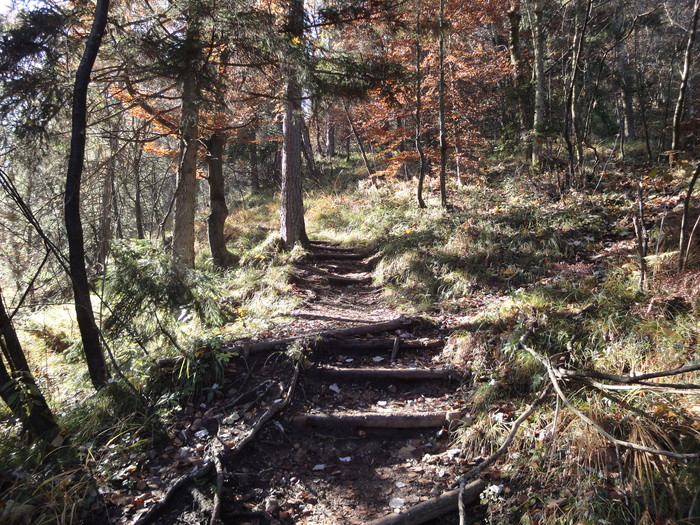 Dötzenkopf 08307.JPG