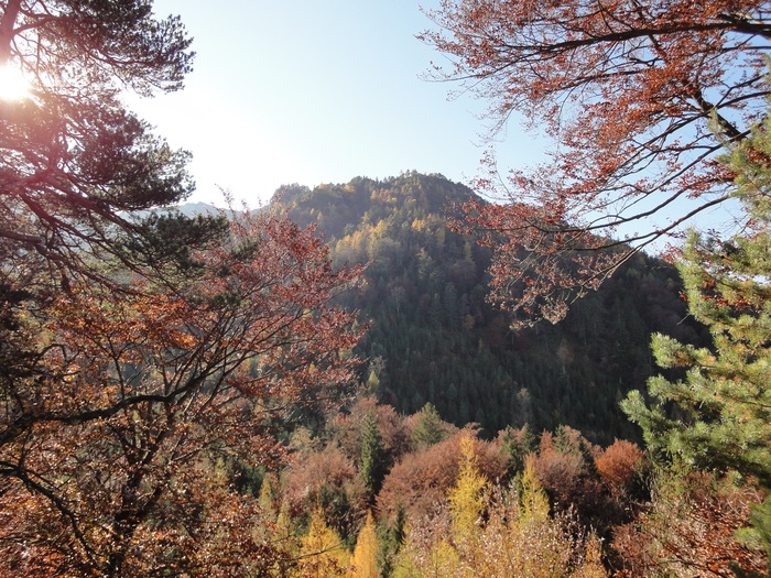 Dötzenkopf 08317.JPG