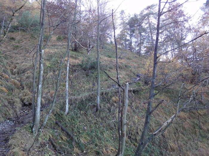 Dötzenkopf 08391.JPG