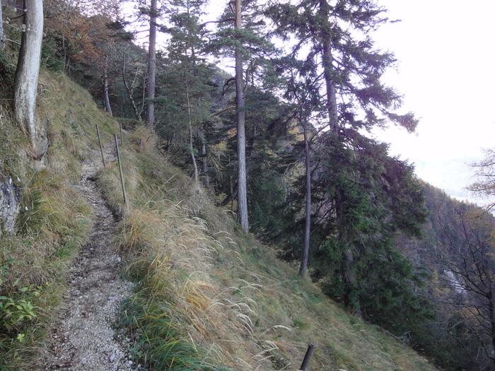 Dötzenkopf 08538.JPG