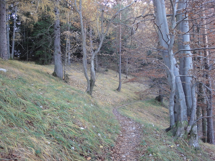 Dötzenkopf 08549.JPG