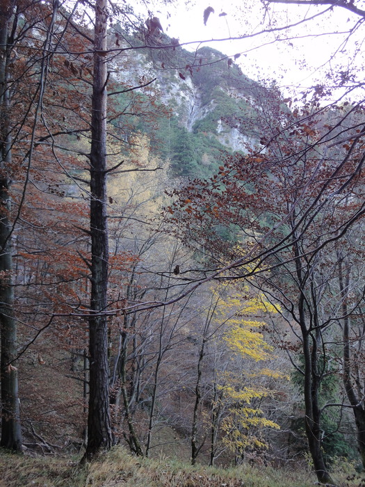 Dötzenkopf 08550.JPG