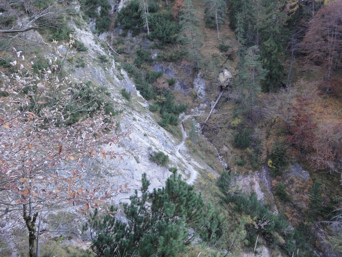 Dötzenkopf 08579.JPG