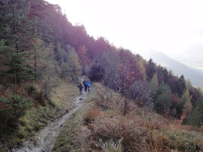 Dötzenkopf 08700.JPG