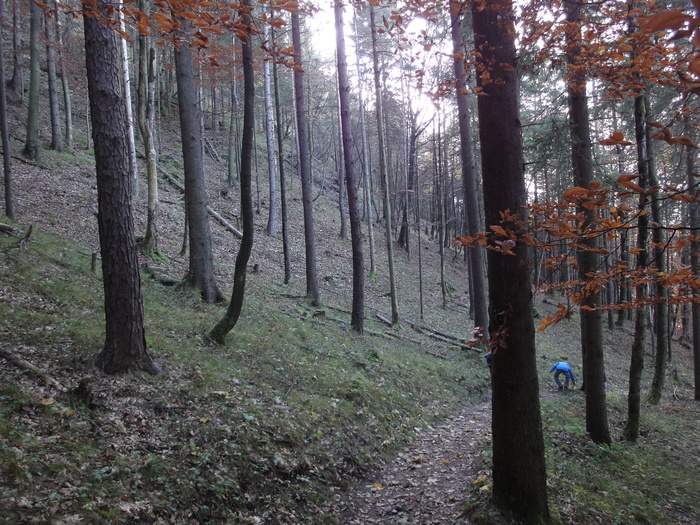 Dötzenkopf 08706.JPG