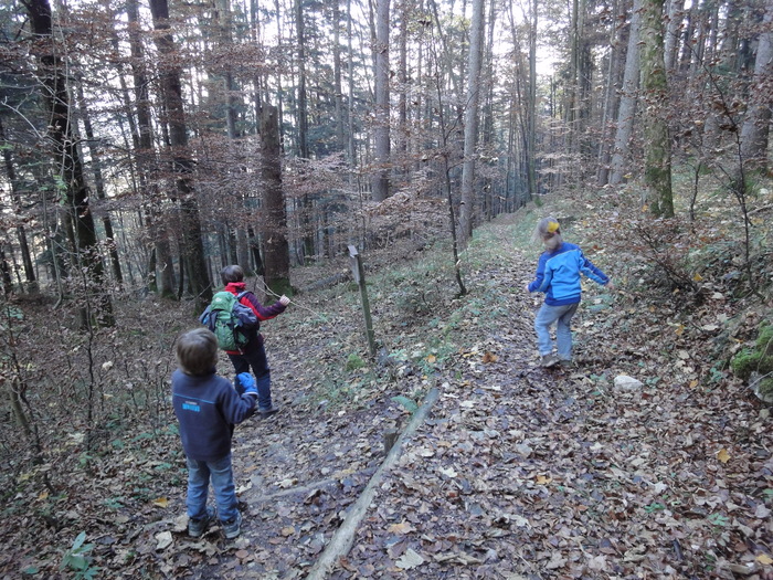Dötzenkopf 08713.JPG