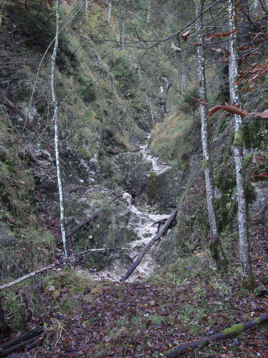 Dötzenkopf 08774.JPG