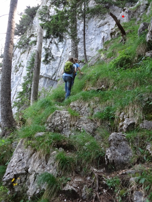 Fensterliwandsteig 06100.JPG