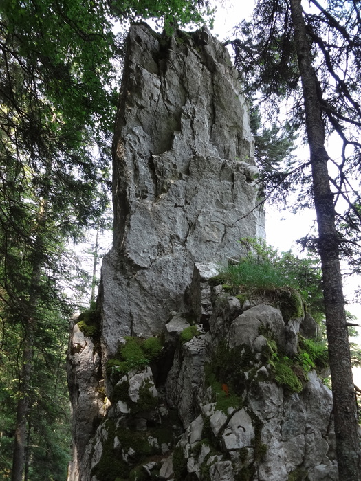 Fensterliwandsteig 06216.JPG