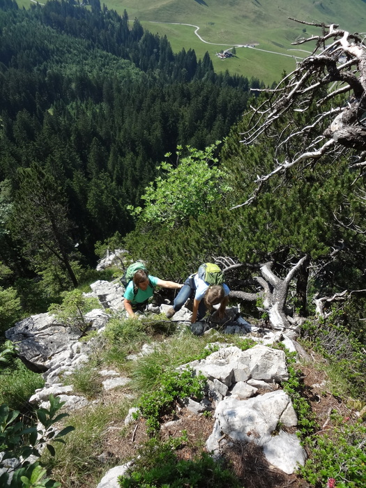 Fensterliwandsteig 06616.JPG