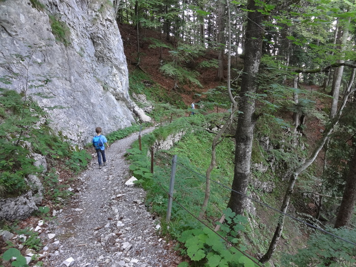 Fensterliwandsteig 07067.JPG