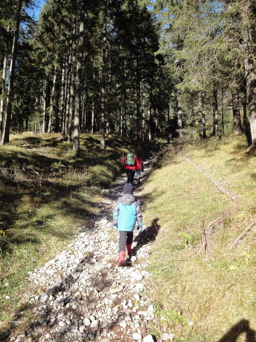Franzosensteig 07346.JPG