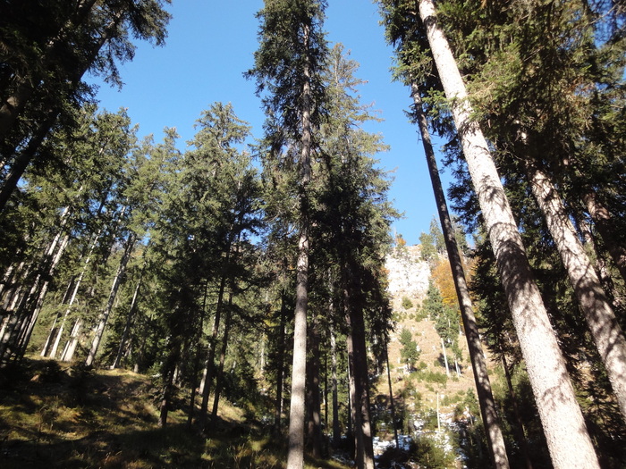 Franzosensteig 07353.JPG
