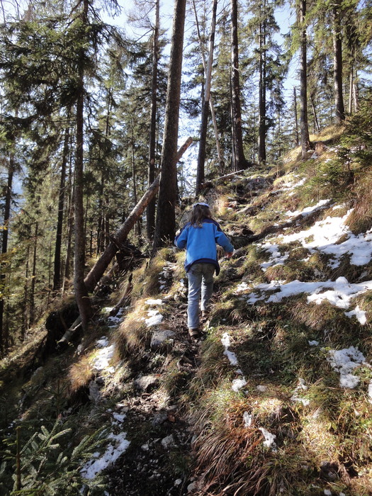 Franzosensteig 07368.JPG