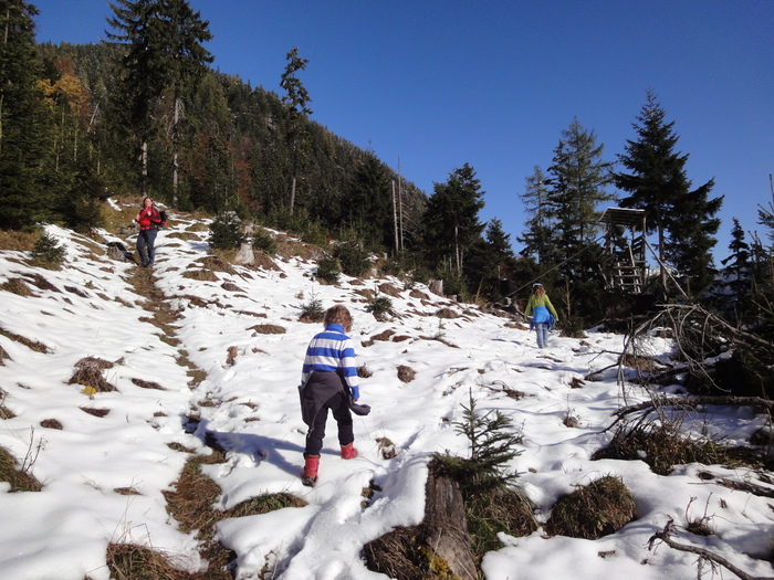 Franzosensteig 07393.JPG