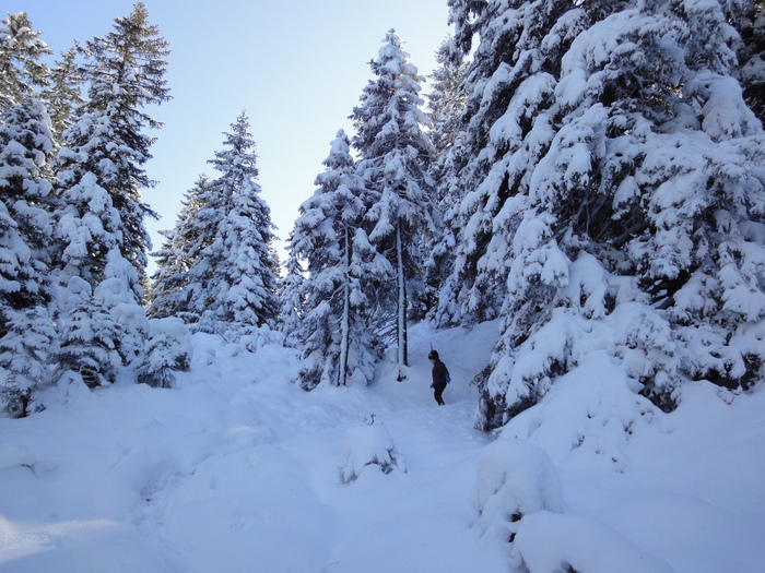 Franzosensteig 07525.JPG