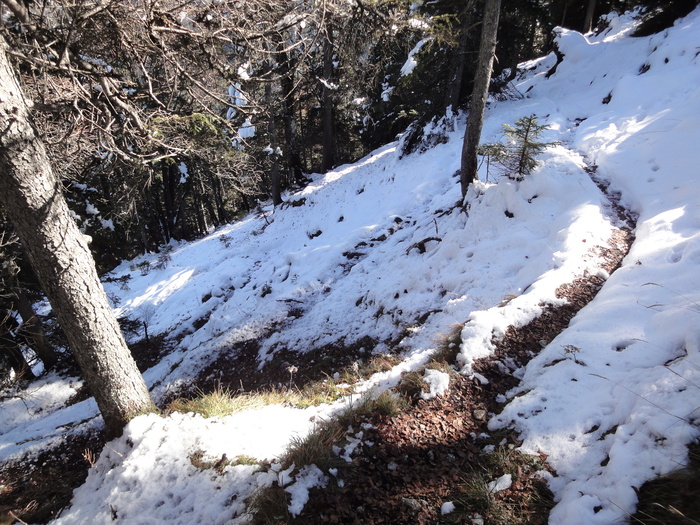 Franzosensteig 07660.JPG