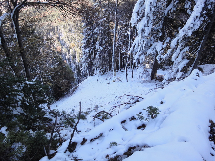 Franzosensteig 07699.JPG