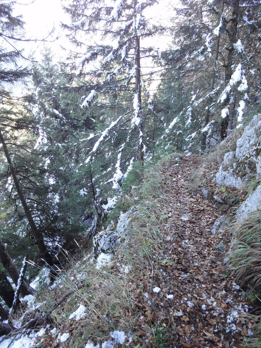 Franzosensteig 07709.JPG