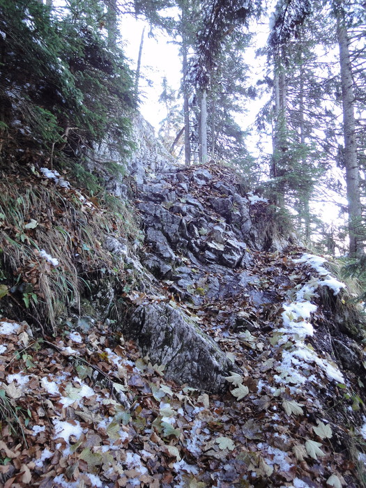 Franzosensteig 07712.JPG