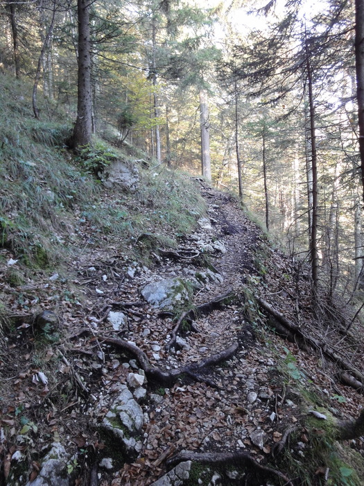 Franzosensteig 07851.JPG