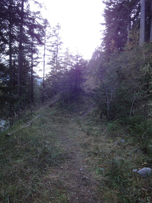 Franzosensteig 07890.JPG