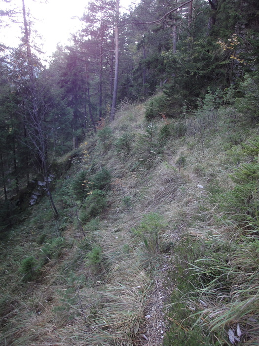 Franzosensteig 07893.JPG