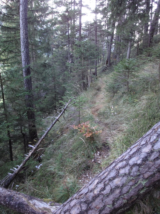 Franzosensteig 07897.JPG