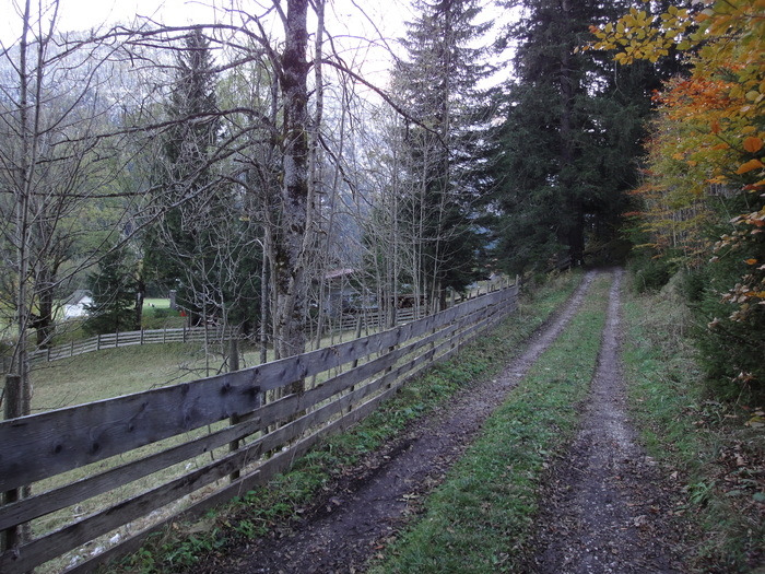 Franzosensteig 07922.JPG